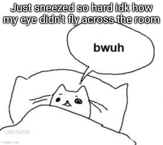 Bwuh | Just sneezed so hard idk how my eye didn't fly across the room | image tagged in bwuh | made w/ Imgflip meme maker