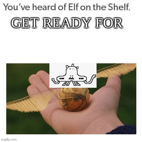 BITCH ON THE SNITCH | image tagged in youve heard of elf on the shelf get ready for | made w/ Imgflip meme maker