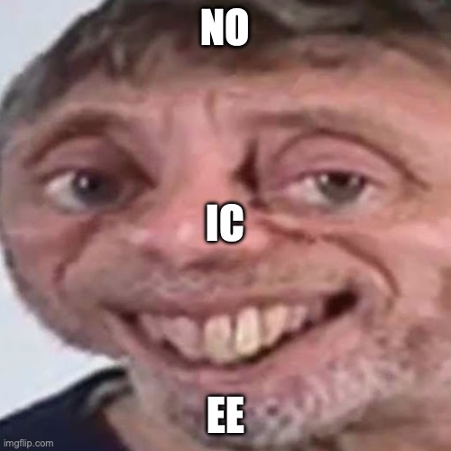 Noice | NO; IC; EE | image tagged in noice | made w/ Imgflip meme maker