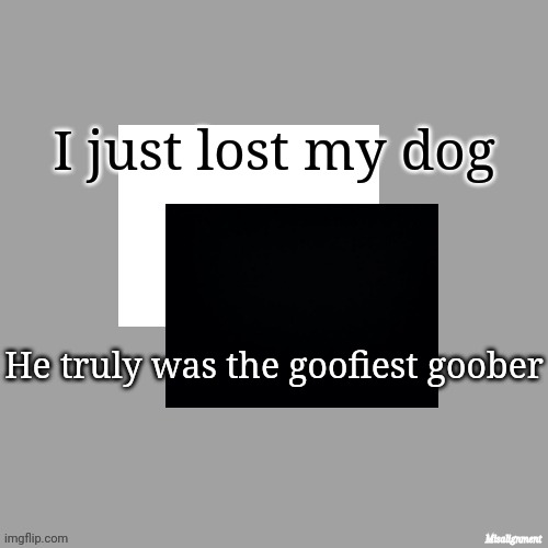 ... | I just lost my dog; He truly was the goofiest goober | image tagged in tokoyami's announcement template v1 3 | made w/ Imgflip meme maker