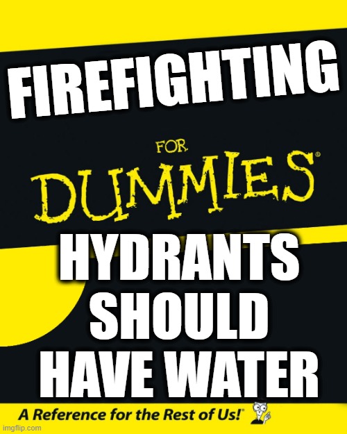 Somebody, Please Get Newsom a Book | FIREFIGHTING; HYDRANTS SHOULD HAVE WATER | image tagged in for dummies | made w/ Imgflip meme maker