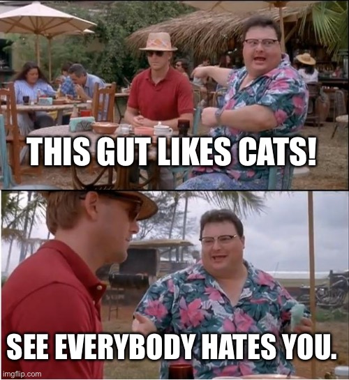 Heheheheheheh I’m ded | THIS GUT LIKES CATS! SEE EVERYBODY HATES YOU. | image tagged in memes,see nobody cares | made w/ Imgflip meme maker