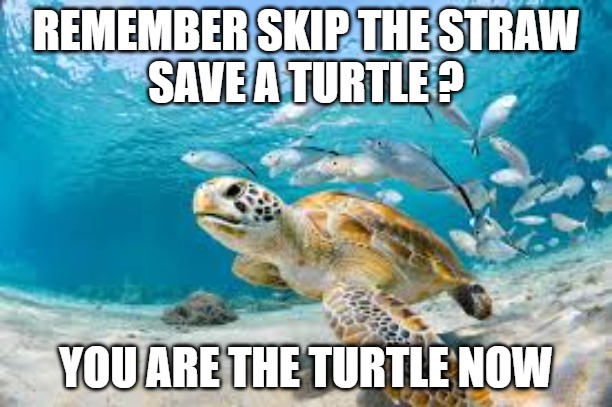 Suckers | REMEMBER SKIP THE STRAW
SAVE A TURTLE ? YOU ARE THE TURTLE NOW | image tagged in ocean pollution,finding neverland | made w/ Imgflip meme maker