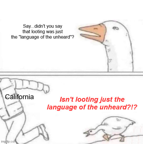 * screechy hypocrite noises | Say...didn't you say that looting was just the "language of the unheard"? California; Isn't looting just the language of the unheard?!? | image tagged in goose chase | made w/ Imgflip meme maker