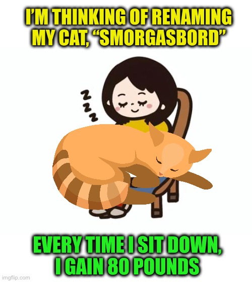 I’M THINKING OF RENAMING MY CAT, “SMORGASBORD” EVERY TIME I SIT DOWN,
 I GAIN 80 POUNDS | made w/ Imgflip meme maker