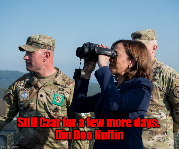 Kamala Harris at Border | Still Czar for a few more days. 
Din Doo Nuffin | image tagged in kamala harris at border | made w/ Imgflip meme maker