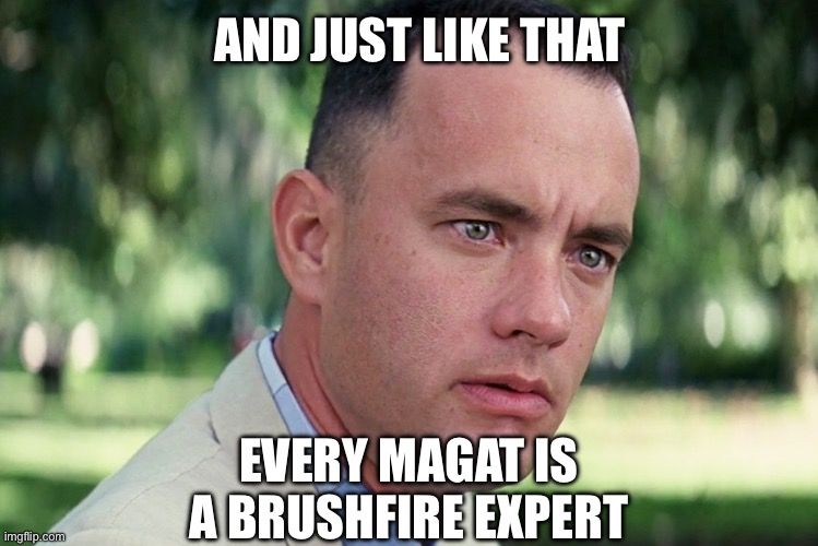 Because raking the forest would’ve helped | AND JUST LIKE THAT; EVERY MAGAT IS A BRUSHFIRE EXPERT | image tagged in memes,and just like that,maga,fire | made w/ Imgflip meme maker