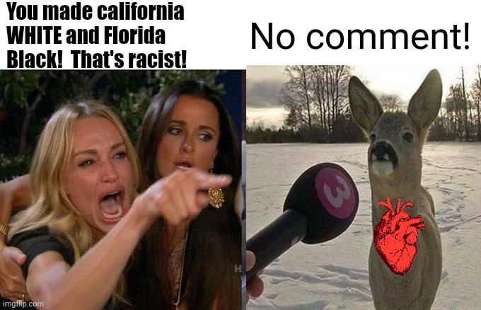 Woman Yelling At Cat Meme | You made california WHITE and Florida Black!  That's racist! No comment! | image tagged in memes,woman yelling at cat | made w/ Imgflip meme maker