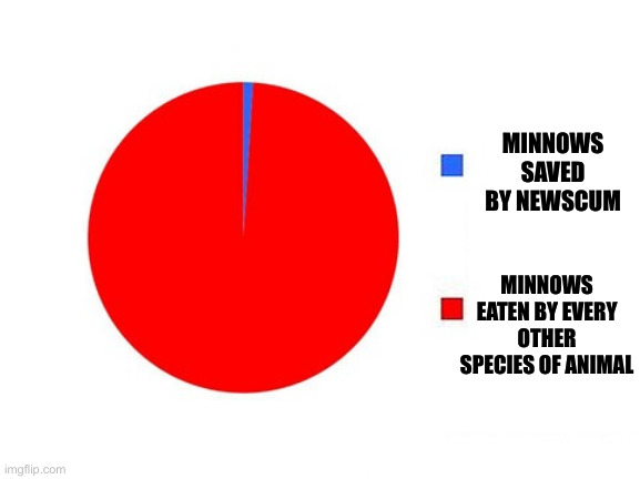 circle graph | MINNOWS SAVED BY NEWSCUM MINNOWS EATEN BY EVERY OTHER SPECIES OF ANIMAL | image tagged in circle graph | made w/ Imgflip meme maker