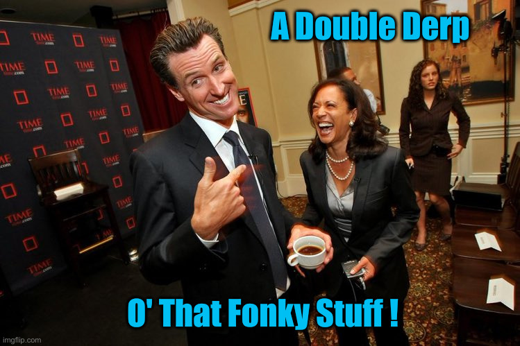 Gavin Newsom Kamala Harris | A Double Derp O' That Fonky Stuff ! | image tagged in gavin newsom kamala harris | made w/ Imgflip meme maker