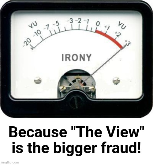 Because "The View"
is the bigger fraud! | image tagged in irony meter | made w/ Imgflip meme maker