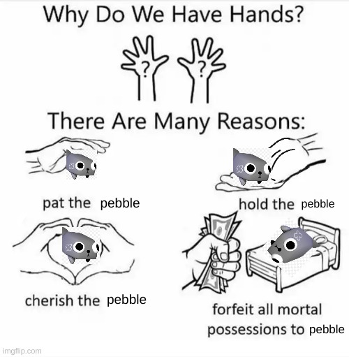 Why do we have hands? (all blank) | pebble; pebble; pebble; pebble | image tagged in why do we have hands all blank | made w/ Imgflip meme maker