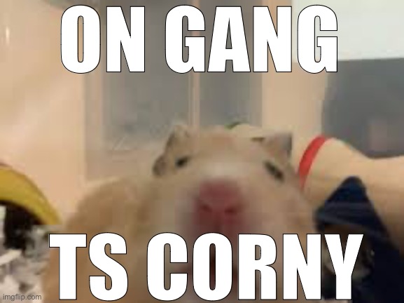 ON GANG TS CORNY | made w/ Imgflip meme maker