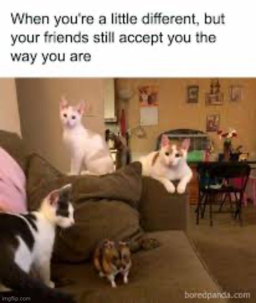 Nice dinner | image tagged in memes,funny,dark humor,wholesome | made w/ Imgflip meme maker