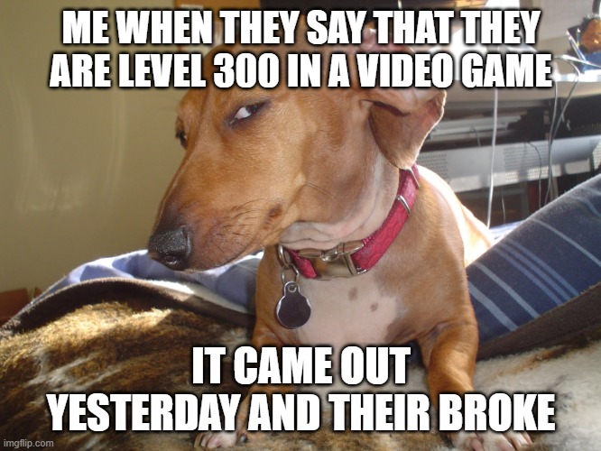 I found you! Faker! | ME WHEN THEY SAY THAT THEY ARE LEVEL 300 IN A VIDEO GAME; IT CAME OUT YESTERDAY AND THEIR BROKE | image tagged in suspicious dog | made w/ Imgflip meme maker