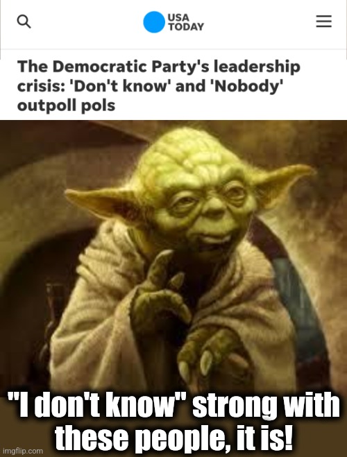 "I don't know" strong with
these people, it is! | image tagged in yoda,memes,democrats,leadership crisis,i don't know,joe biden effect | made w/ Imgflip meme maker