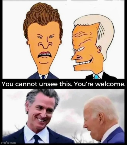 They sure did America | image tagged in democrat party,beavis and butthead,hotel california,stoners,that explains a lot,i want my mtv | made w/ Imgflip meme maker