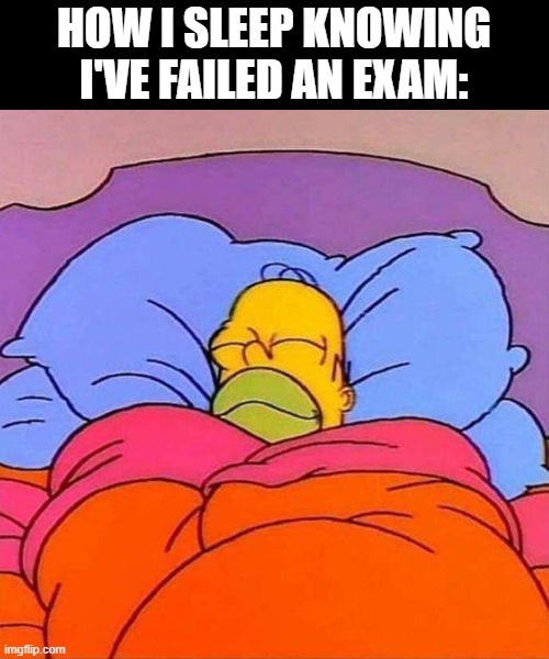 Homer Napping | HOW I SLEEP KNOWING I'VE FAILED AN EXAM: | image tagged in homer napping,memes,school memes | made w/ Imgflip meme maker