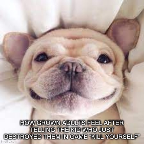 Yea | HOW GROWN ADULTS FEEL AFTER TELLING THE KID WHO JUST DESTROYED THEM IN GAME “KILL YOURSELF” | image tagged in a happy doggo,ye | made w/ Imgflip meme maker