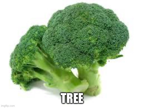 XD | TREE | image tagged in broccoli | made w/ Imgflip meme maker