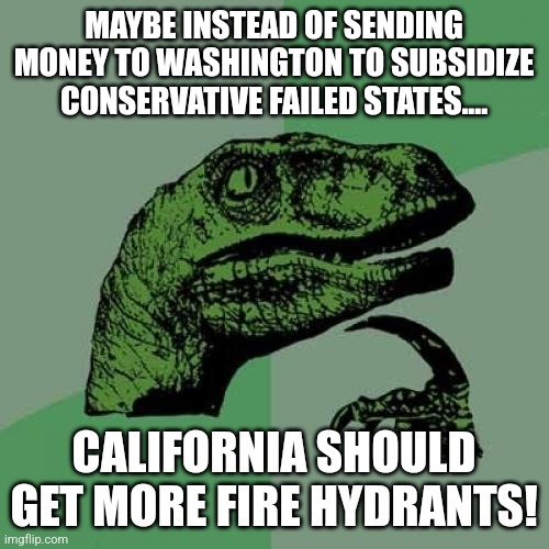 California Should... | MAYBE INSTEAD OF SENDING MONEY TO WASHINGTON TO SUBSIDIZE CONSERVATIVE FAILED STATES.... CALIFORNIA SHOULD GET MORE FIRE HYDRANTS! | image tagged in california fires,conservative,trump,maga,nevertrump,nevertrump meme | made w/ Imgflip meme maker
