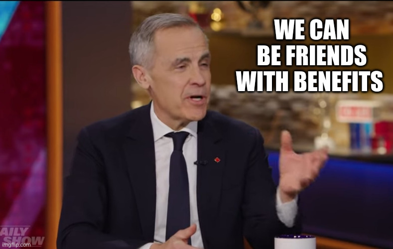 Mark Carney friendzoning the USA on The Daily Show | WE CAN BE FRIENDS WITH BENEFITS | image tagged in mark carney,memes,tarrifs,canada-usa,canada,trade war | made w/ Imgflip meme maker