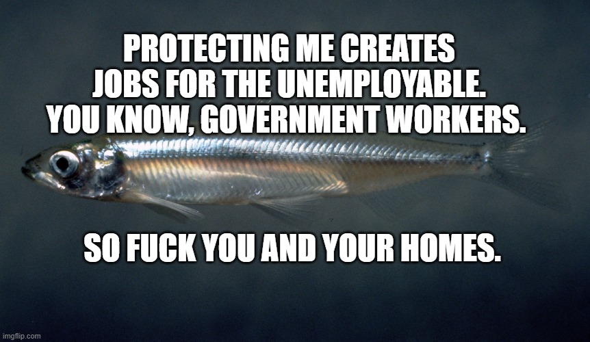 delta smelt | PROTECTING ME CREATES JOBS FOR THE UNEMPLOYABLE. YOU KNOW, GOVERNMENT WORKERS. SO FUCK YOU AND YOUR HOMES. | image tagged in delta smelt | made w/ Imgflip meme maker