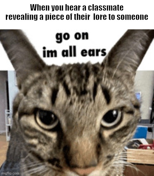 Say it louder | When you hear a classmate revealing a piece of their  lore to someone | image tagged in im all ears,cats,cat | made w/ Imgflip meme maker