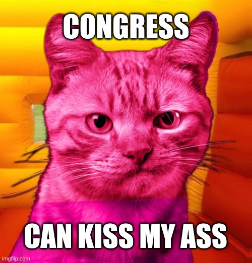 Congress | CONGRESS; CAN KISS MY ASS | image tagged in pink ray cat,congress,tik tok,government corruption,free speech,keep calm and carry on red | made w/ Imgflip meme maker