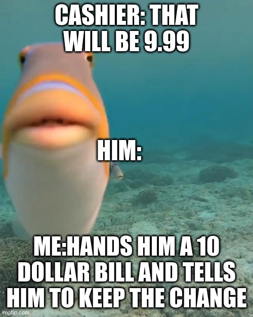 Real | CASHIER: THAT WILL BE 9.99; HIM:; ME:HANDS HIM A 10 DOLLAR BILL AND TELLS HIM TO KEEP THE CHANGE | image tagged in staring fish | made w/ Imgflip meme maker