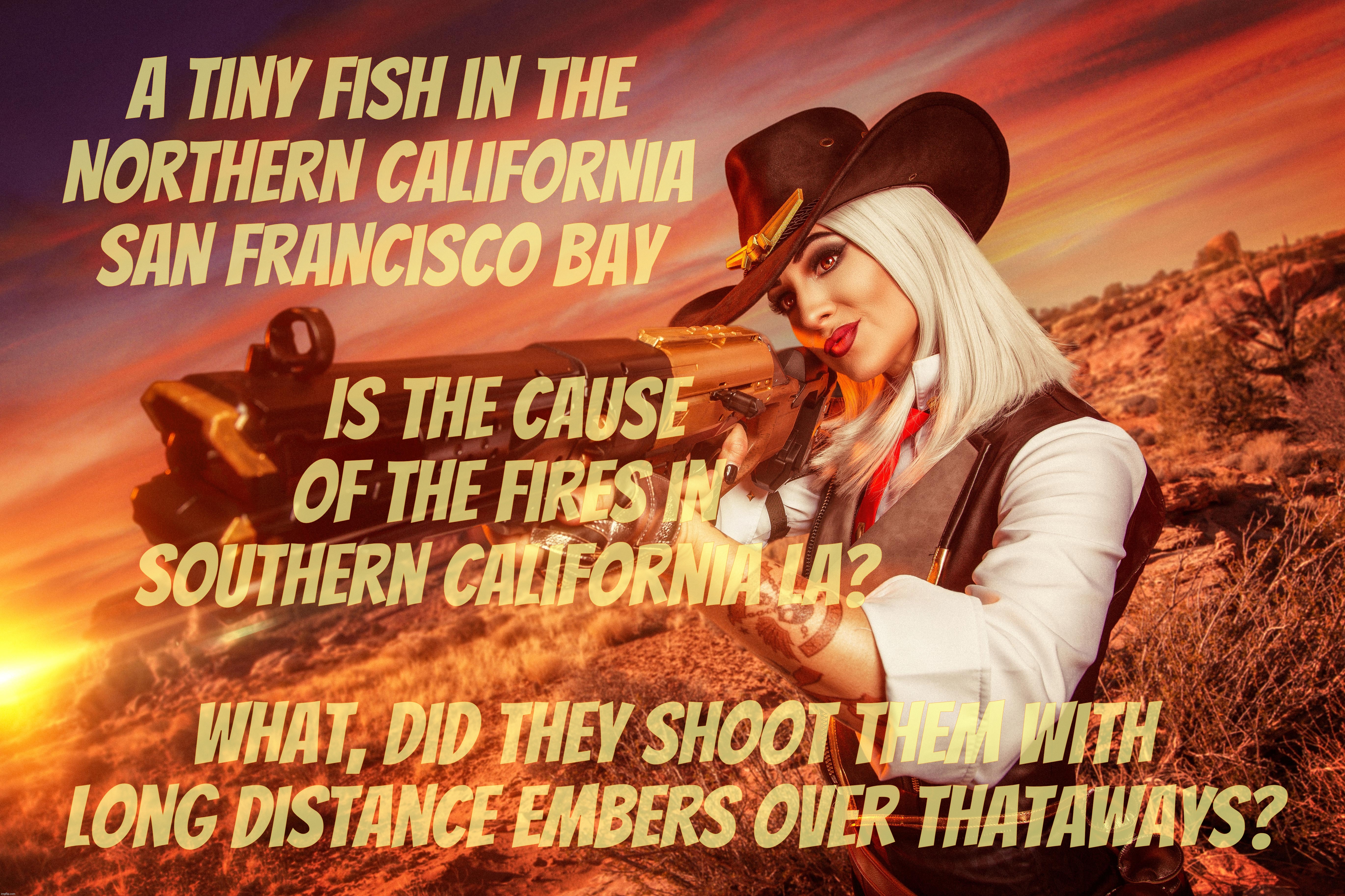 Is the cause
of the fires in Southern California LA? A tiny fish in the
Northern California San Francisco Bay; What, did they shoot them with long distance embers over thataways? | made w/ Imgflip meme maker