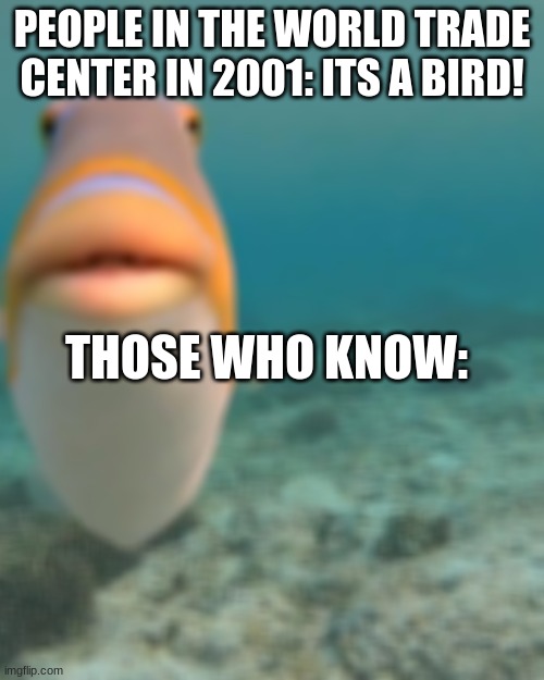 Those who know: | PEOPLE IN THE WORLD TRADE CENTER IN 2001: ITS A BIRD! THOSE WHO KNOW: | image tagged in staring fish | made w/ Imgflip meme maker