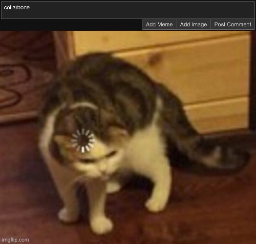 how tf does ts even resize the comment bar | image tagged in loading cat | made w/ Imgflip meme maker