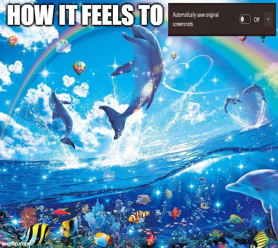 How it feels to x | HOW IT FEELS TO | image tagged in how it feels to x | made w/ Imgflip meme maker