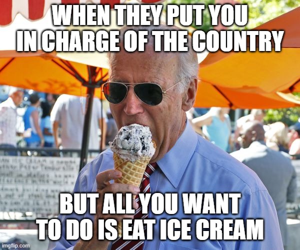 stupid votes | WHEN THEY PUT YOU IN CHARGE OF THE COUNTRY; BUT ALL YOU WANT TO DO IS EAT ICE CREAM | image tagged in joe biden eating ice cream | made w/ Imgflip meme maker