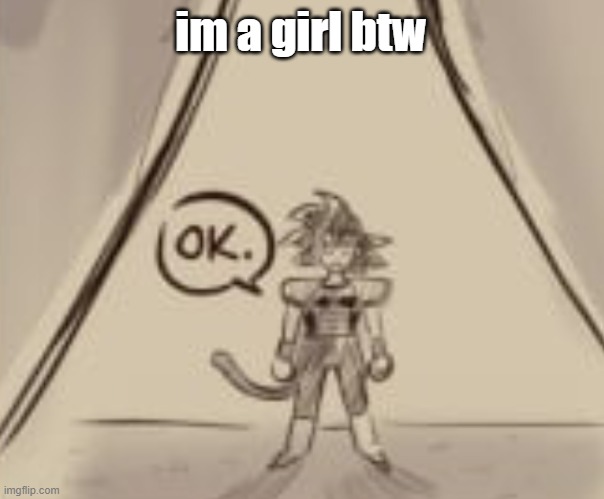 Bardock "OK." | im a girl btw | image tagged in bardock ok | made w/ Imgflip meme maker