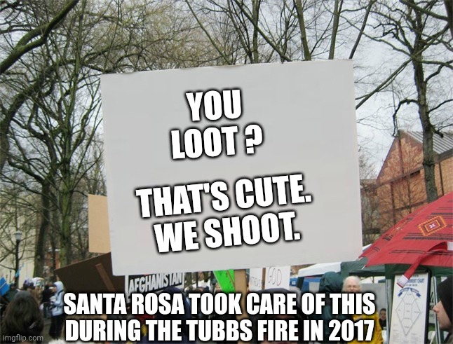 Blank protest sign | YOU LOOT ? THAT'S CUTE.
WE SHOOT. SANTA ROSA TOOK CARE OF THIS DURING THE TUBBS FIRE IN 2017 | image tagged in blank protest sign | made w/ Imgflip meme maker