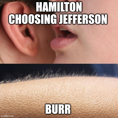Whisper and Goosebumps | HAMILTON CHOOSING JEFFERSON; BURR | image tagged in whisper and goosebumps | made w/ Imgflip meme maker