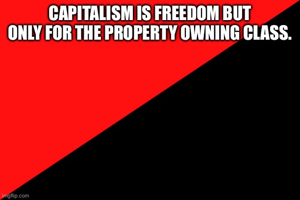 Ancom flag | CAPITALISM IS FREEDOM BUT ONLY FOR THE PROPERTY OWNING CLASS. | image tagged in ancom flag | made w/ Imgflip meme maker