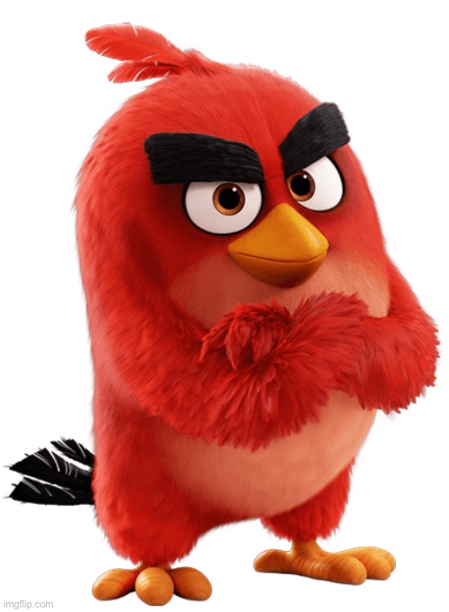 Red Bird The Angry Birds Movie | image tagged in red bird the angry birds movie | made w/ Imgflip meme maker