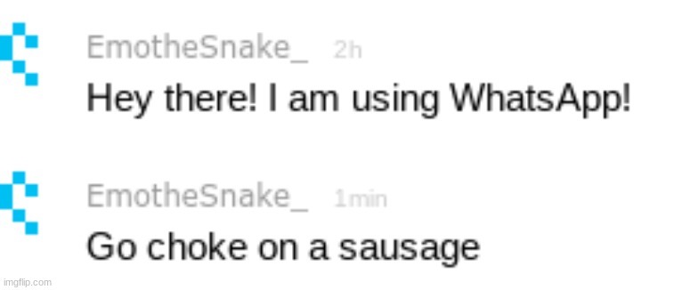 Go choke on a sausage | image tagged in go choke on a sausage | made w/ Imgflip meme maker