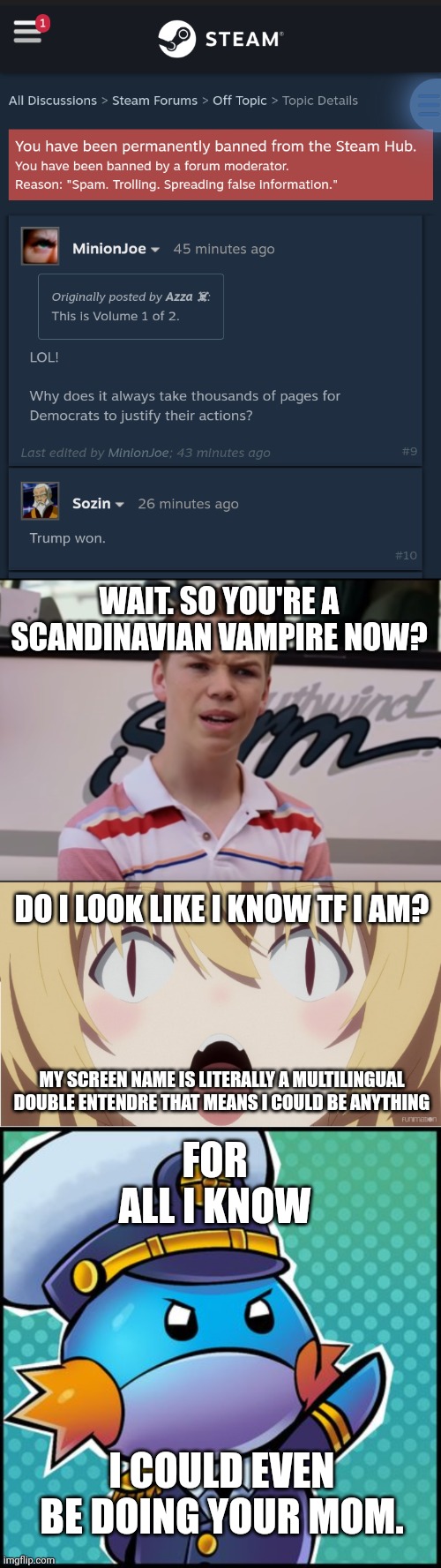 WAIT. SO YOU'RE A SCANDINAVIAN VAMPIRE NOW? DO I LOOK LIKE I KNOW TF I AM? FOR ALL I KNOW; MY SCREEN NAME IS LITERALLY A MULTILINGUAL DOUBLE ENTENDRE THAT MEANS I COULD BE ANYTHING; I COULD EVEN BE DOING YOUR MOM. | image tagged in you guys are getting paid,yue pog,commander mudkip | made w/ Imgflip meme maker