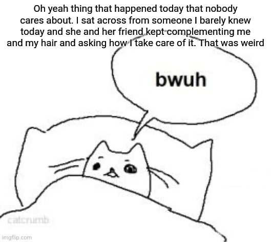 I'm half deaf rn which made the conversation very awkward | Oh yeah thing that happened today that nobody cares about. I sat across from someone I barely knew today and she and her friend kept complementing me and my hair and asking how I take care of it. That was weird | image tagged in bwuh | made w/ Imgflip meme maker