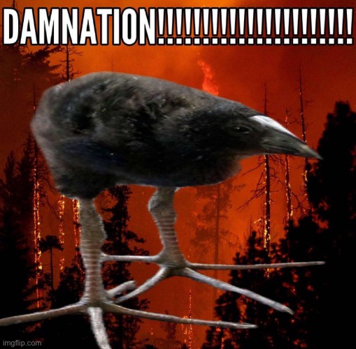 Post this bird when they least expect it | made w/ Imgflip meme maker