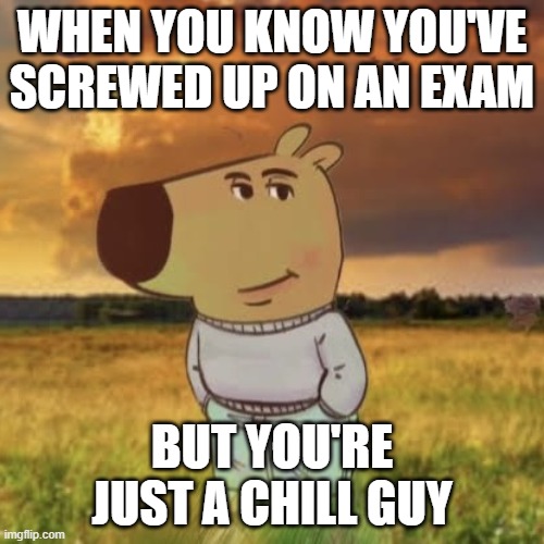 Chill guy | WHEN YOU KNOW YOU'VE SCREWED UP ON AN EXAM; BUT YOU'RE JUST A CHILL GUY | image tagged in chill guy,memes,school memes | made w/ Imgflip meme maker