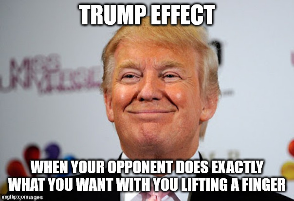 Trumpt Effect | TRUMP EFFECT; WHEN YOUR OPPONENT DOES EXACTLY WHAT YOU WANT WITH YOU LIFTING A FINGER | image tagged in donald trump approves,memes,political meme | made w/ Imgflip meme maker