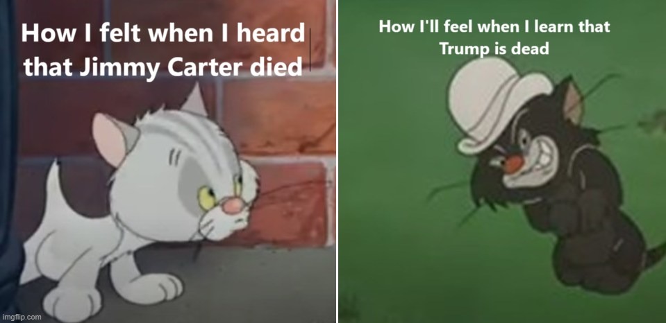 Bad Luck Blackie Jimmy Carter vs. Donald Trump | image tagged in bad luck blackie,kitten,jimmy carter,i hate donald trump,trump sucks | made w/ Imgflip meme maker