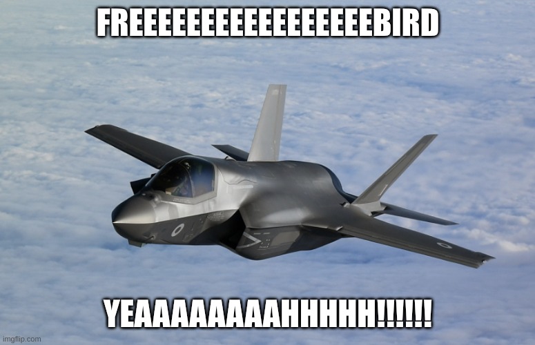 freebird | FREEEEEEEEEEEEEEEEEBIRD; YEAAAAAAAAHHHHH!!!!!! | image tagged in f35,plane,funny | made w/ Imgflip meme maker