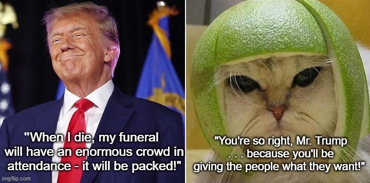 Donald Trump & the Cat With the Lime Helmet 2025 | image tagged in donald trump,cat in lime helmet,i hate donald trump,trump sucks | made w/ Imgflip meme maker