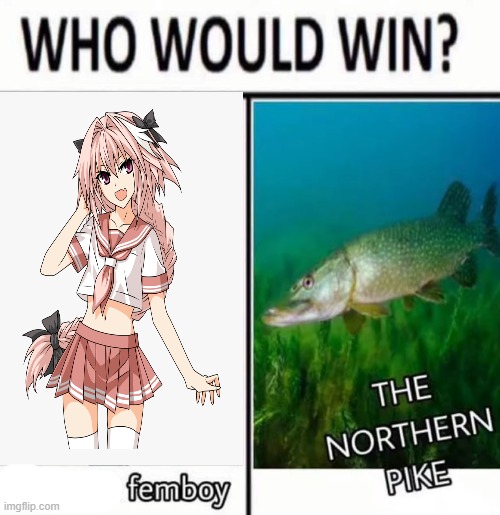 swapped the image on the left cuz it was some ai bullshit | made w/ Imgflip meme maker
